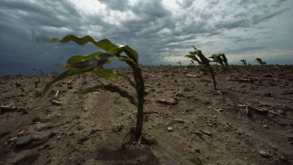 Cambiamenti climatici, le Nazioni Unite avvertono: “Desertificazione in atto sul&nbsp;Titano”