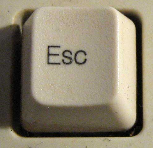 Mistero Arengo: scompare la moderatrice: ‘Son iaTura vostra, la mia moderazione&nbsp;osta’