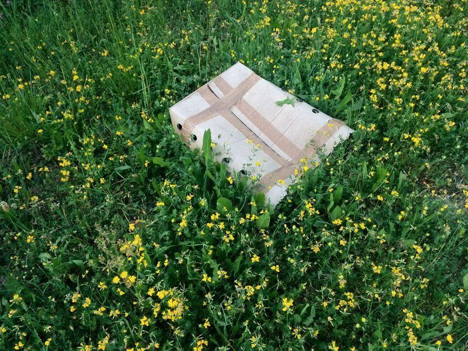 Le scatole vuote ritrovate nei calanchi. Indizi? 