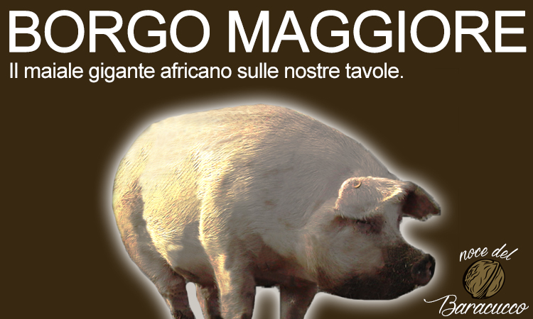 [sponsor] Per difendere la sammarinesità dei nostri prodotti, nasce il Consorzio Noce del Baracucco