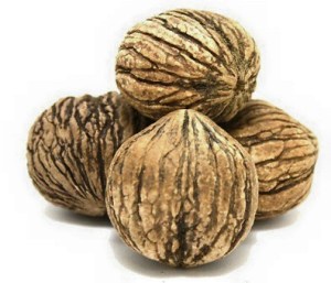 12049655_1662844813963123_8524664652396356276_n