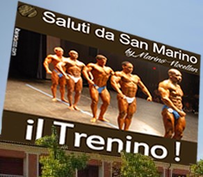 nocellan-pololusso (2)