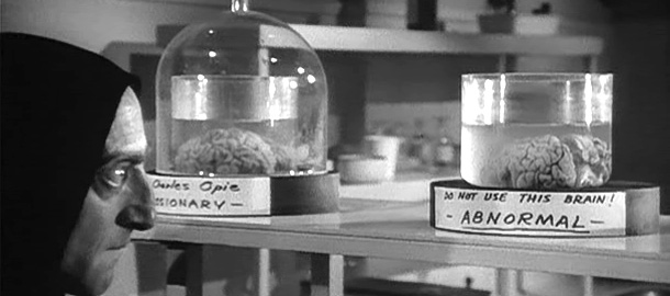 Dal connubio tra “Lista delle Persone Libere” e “Noce Nazionale” nasce “Libere Noci”: una coalizione&nbsp;AB…norme