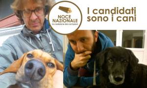 candidati