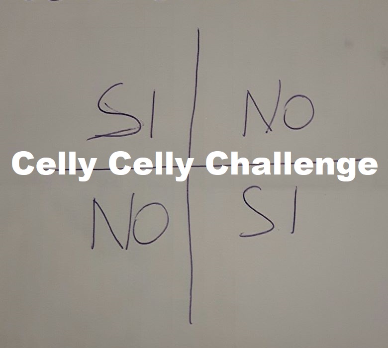 Agenzia per lo Sviluppo: ecco il “Celly Celly Challenge” il nuovo strumento concreto!