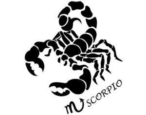Consiglio sotto il segno del bilancio, ma è più uno scorpione!