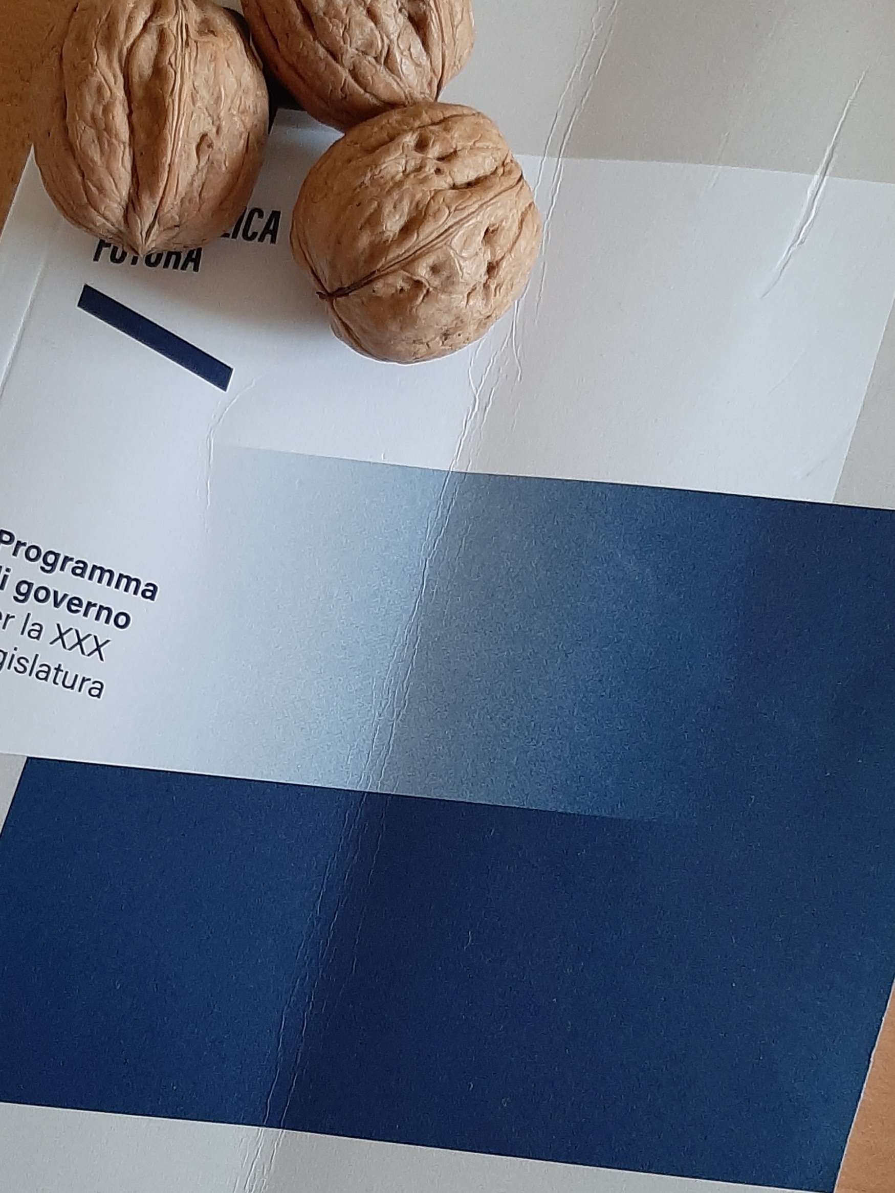 RF presenta IL PROGRAMMONE, non è un quiz, non è uno show, è un librone!