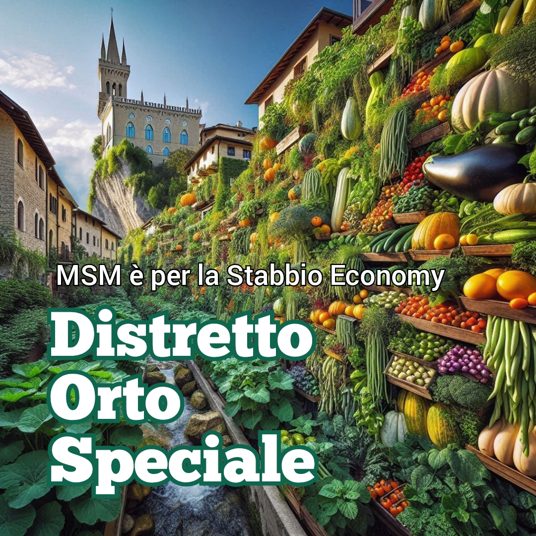 MSM svela l’asso per vincere le elezioni: IL DOS! Il Distretto Orto Speciale